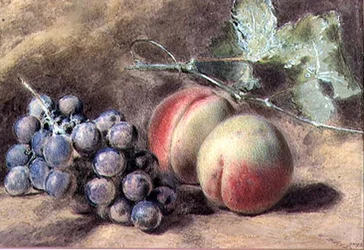 Raisins et pêches, 19e siècle